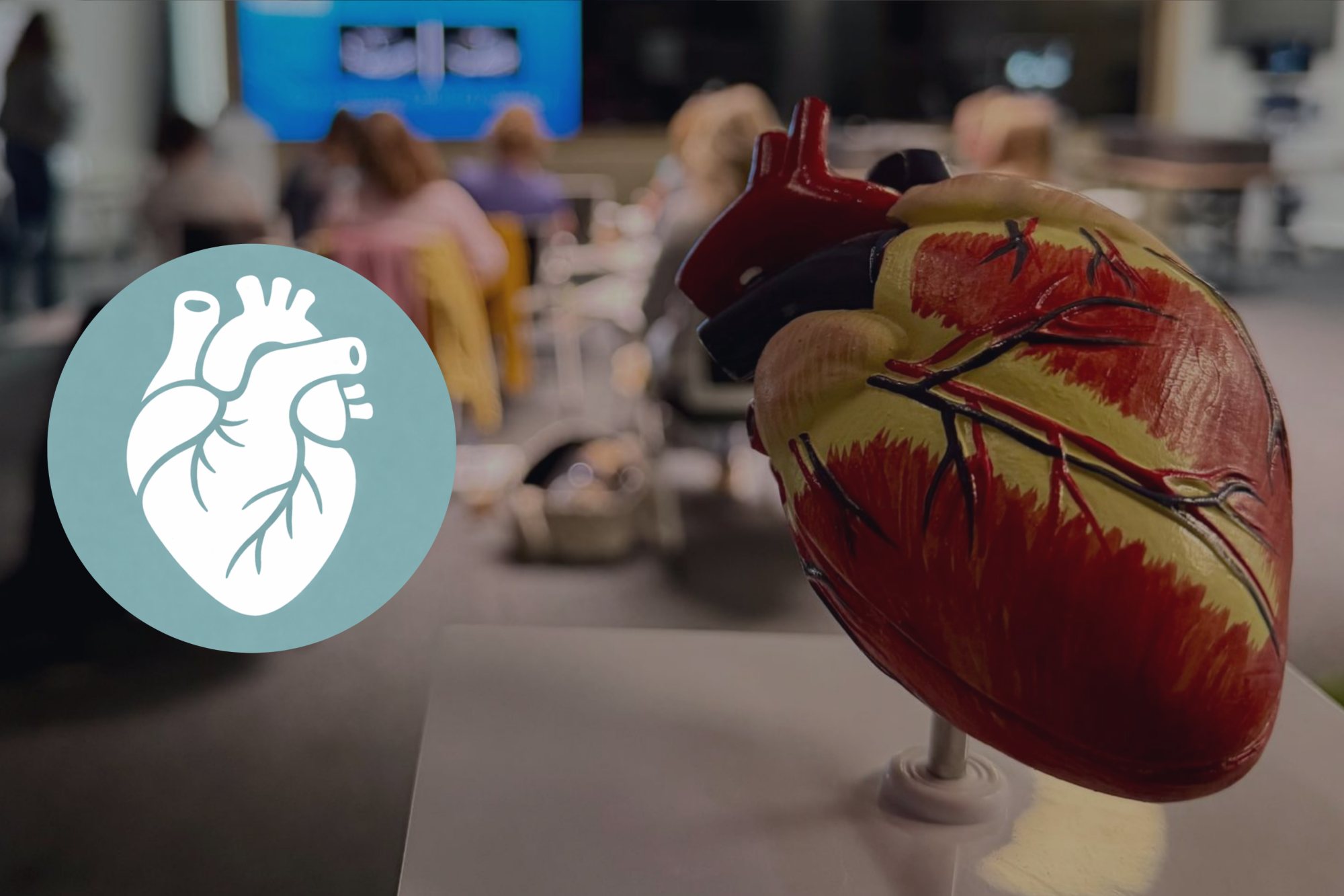 Echocardio advanced: module 2